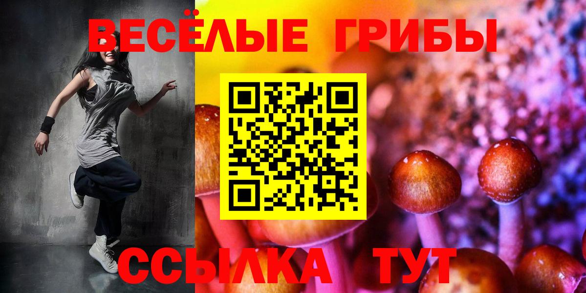 Псилоцибиновые грибы GOLDEN TEACHER  Галлюциногенные грибы ЛСД  Вход с VPN  Видное 